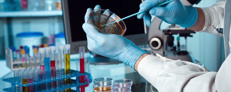 Изображение лабораторных анализов